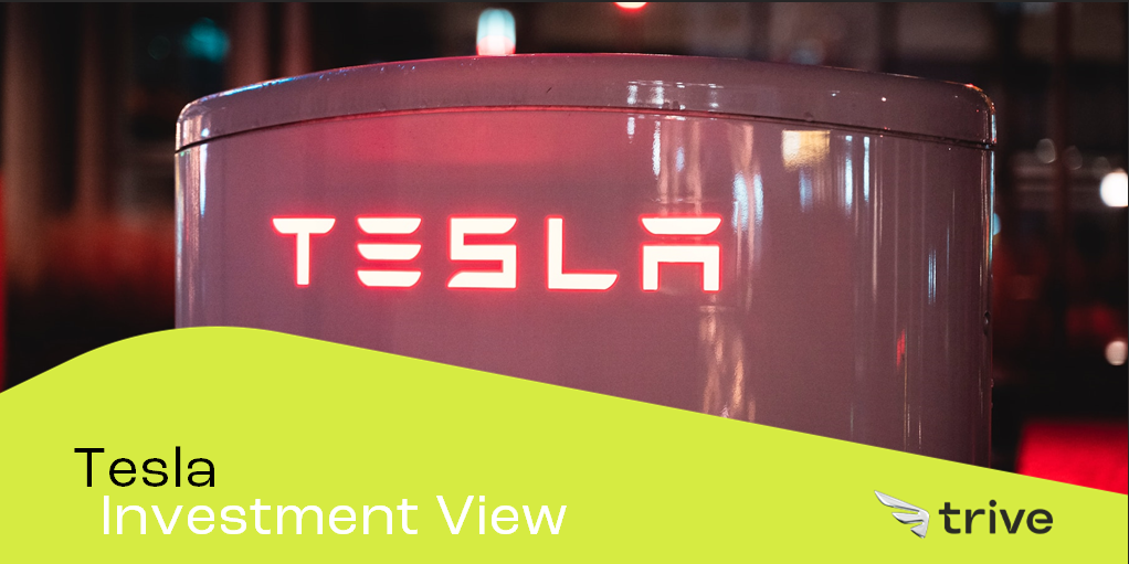 Read more about the article Watt für eine Fahrt! Teslas Gewinne auf elektrisierenden Höhen
