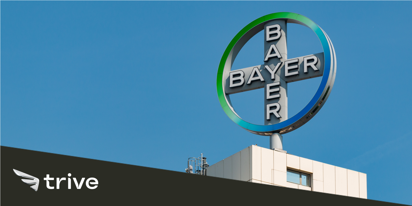 Read more about the article Ist die Bayer-Aktie ein Schnäppchen?